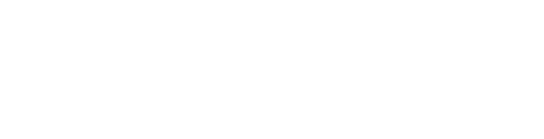 ANC AI logo